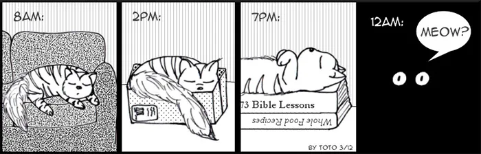 58 Funny Comics Reveal The Reality Of Owning A Cat