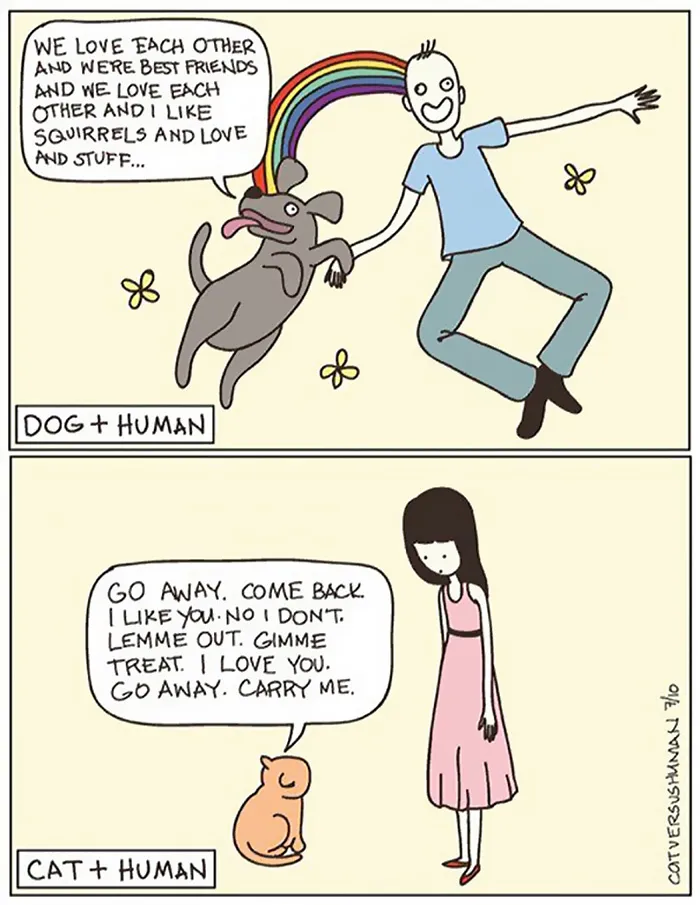 58 Funny Comics Reveal The Reality Of Owning A Cat