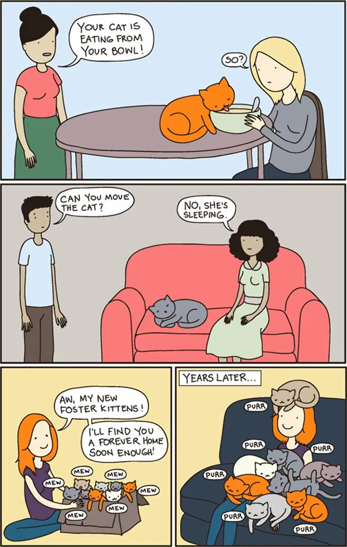 58 Funny Comics Reveal The Reality Of Owning A Cat