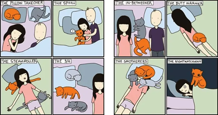 58 Funny Comics Reveal The Reality Of Owning A Cat