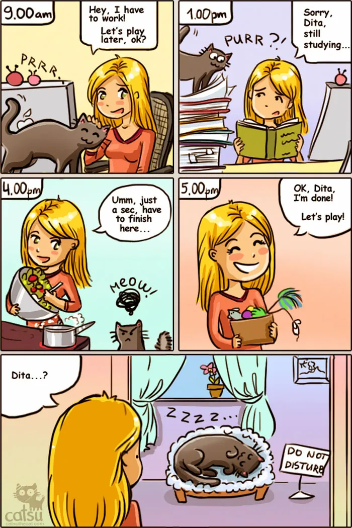 58 Funny Comics Reveal The Reality Of Owning A Cat