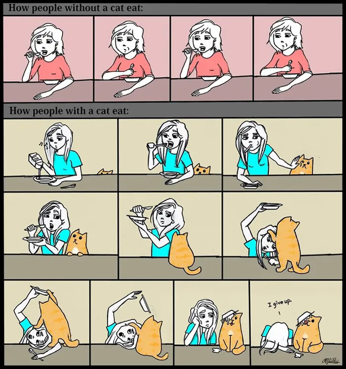 58 Funny Comics Reveal The Reality Of Owning A Cat