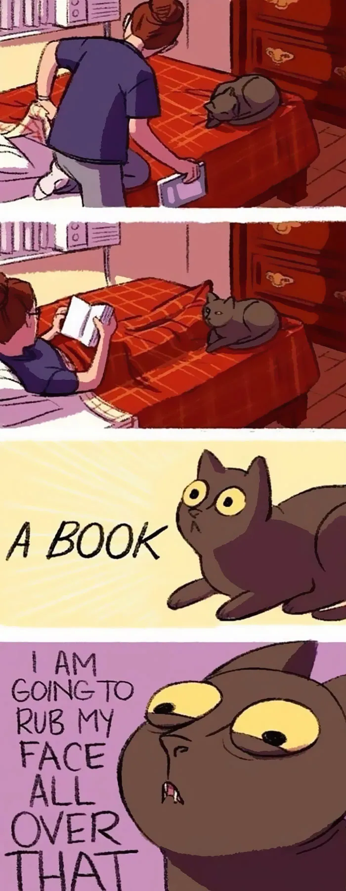 58 Funny Comics Reveal The Reality Of Owning A Cat