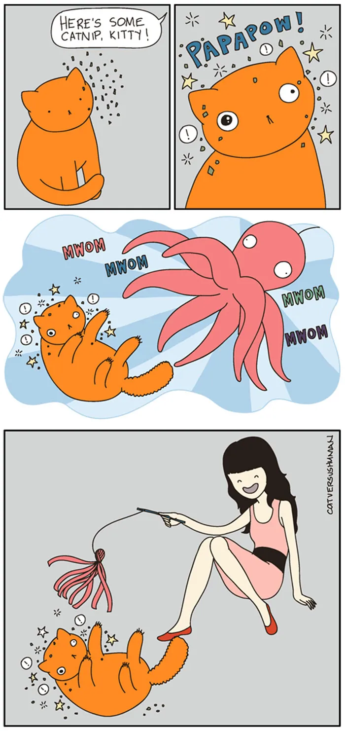 58 Funny Comics Reveal The Reality Of Owning A Cat