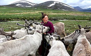 Meet The Tsaatan Nomads In Mongolia Who Live Like No One Else