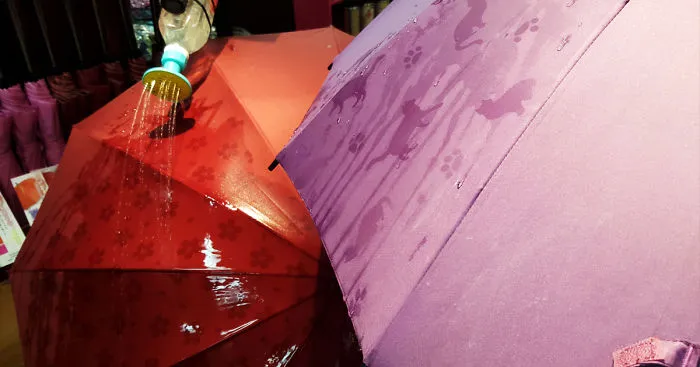 These Japanese Umbrellas Reveal Hidden Patterns When Wet