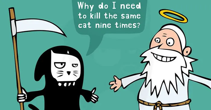 16 Upset Animals And Their Problems