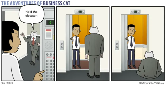 58 Funny Comics Reveal The Reality Of Owning A Cat