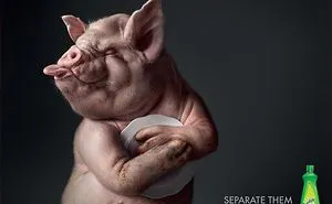 Cleaning Products Ads That Will Draw Your Attention