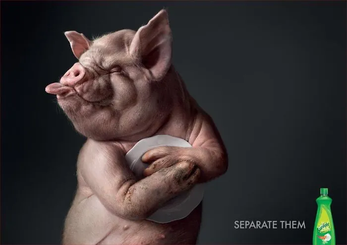 Cleaning Products Ads That Will Draw Your Attention