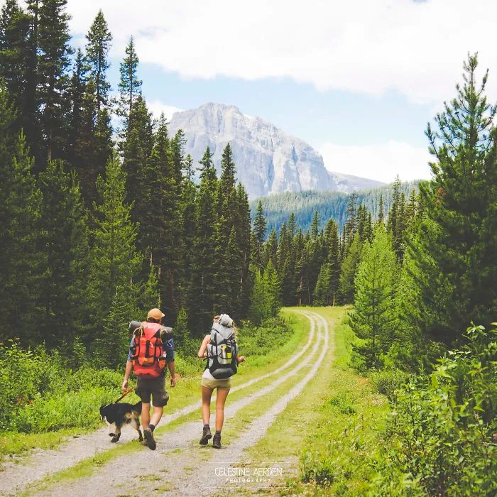"Camping With Dogs" Instagram Will Inspire You To Go Hiking With Your Dog