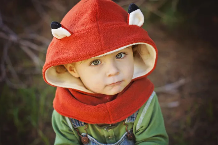 Fox Hooded Cowl
