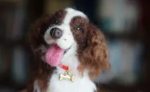 I Make Pet Replica With Wool And Needle