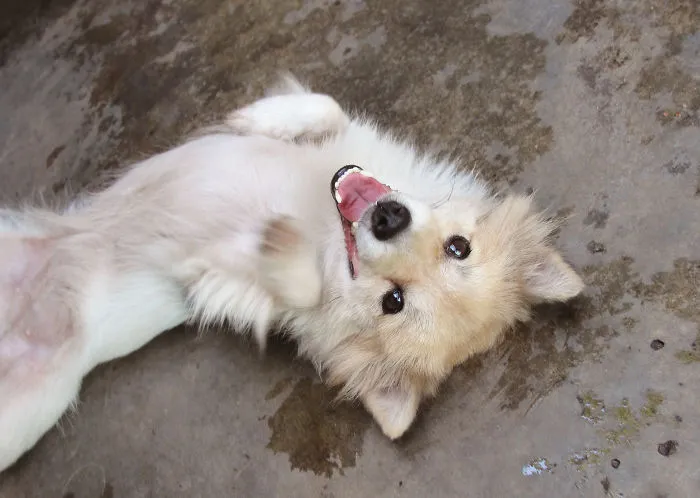 Posing For The Shot!