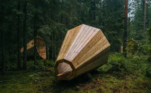Estonian Students Build Giant Wooden Megaphones To Listen To The Forest