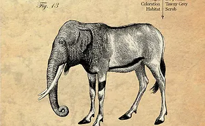 Fantastical Creatures Lost For 100 Years: A Vintagerie By Darwin Surplus