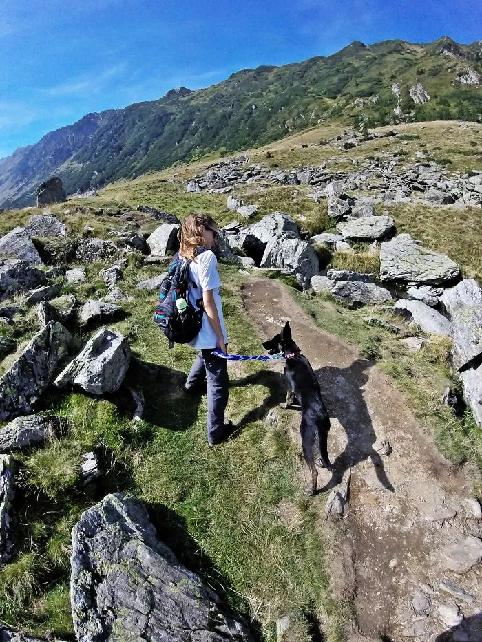 "Camping With Dogs" Instagram Will Inspire You To Go Hiking With Your Dog