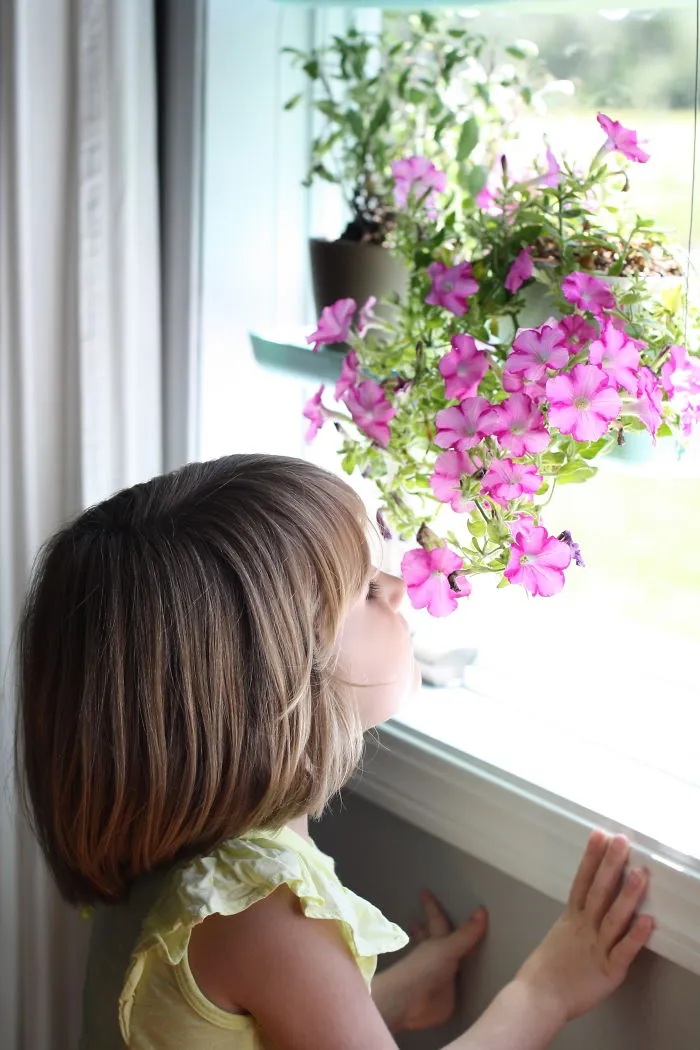 I Invented A Cool Window Garden And 3d Printed All The Parts