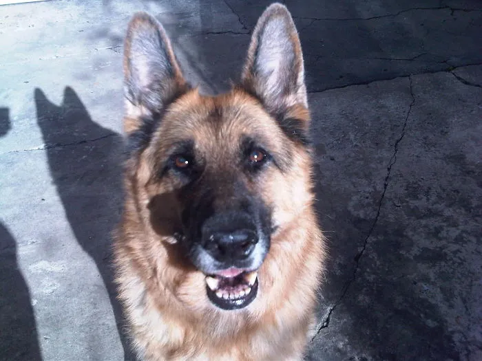 Big Smile