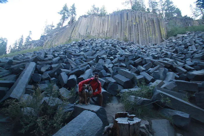"Camping With Dogs" Instagram Will Inspire You To Go Hiking With Your Dog