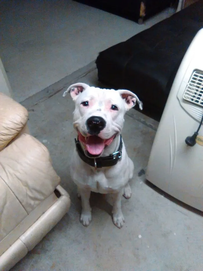 Am I Glad To See You?