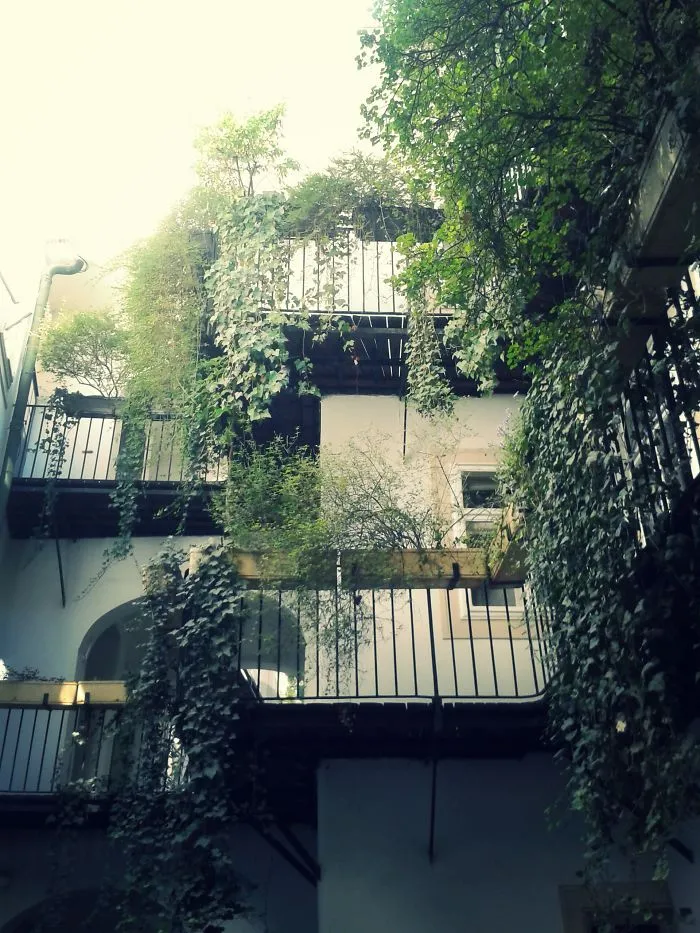 City Plants