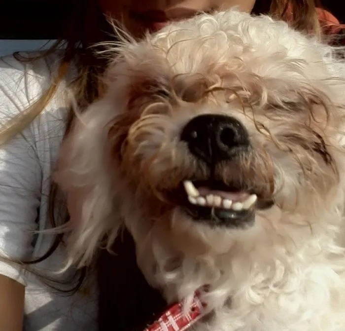 He's Excited To Go To The Beach