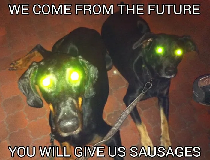 Flashback From The Future