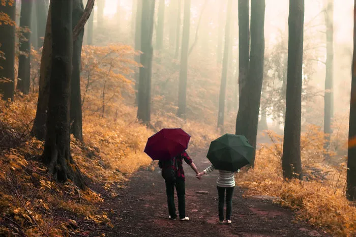 Rainy Days
