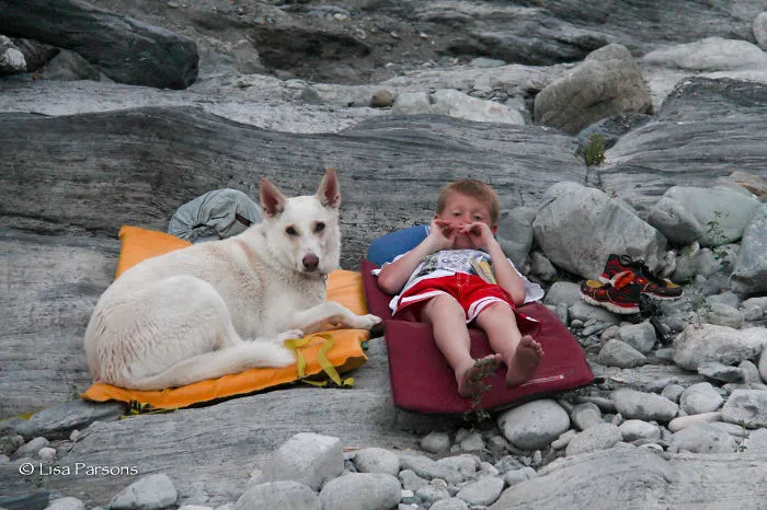 "Camping With Dogs" Instagram Will Inspire You To Go Hiking With Your Dog