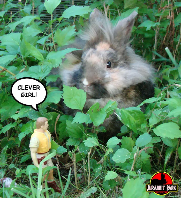 Jurabbit Park