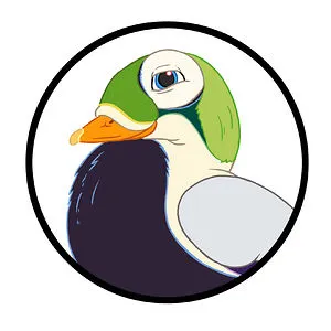 The Spectacled Eider