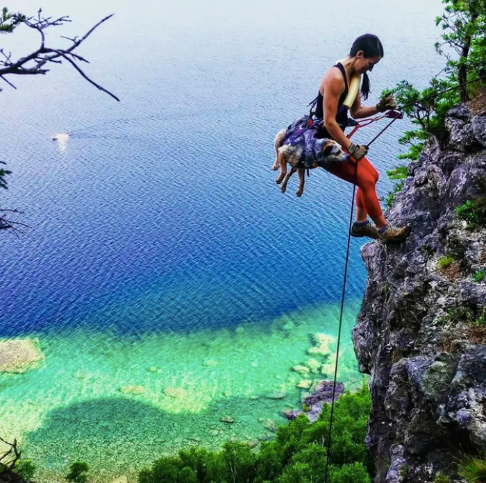 "Camping With Dogs" Instagram Will Inspire You To Go Hiking With Your Dog