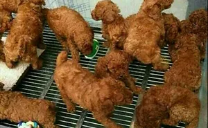 70 Things That Are Hilariously Similar To Each Other (Part 4)