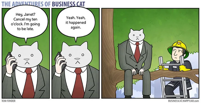 How Your Office Would Look If Your Boss Was A Cat