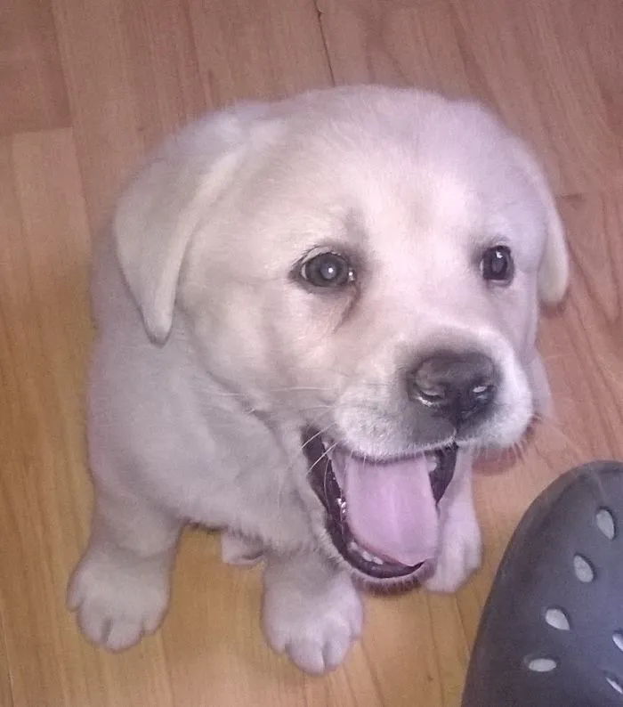 Rubi.