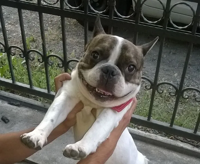 Hello