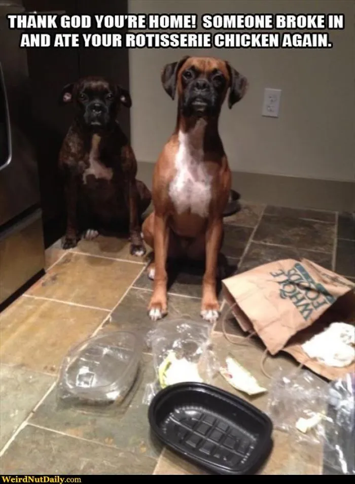 No, We Have No Leftovers In Our Teeth!