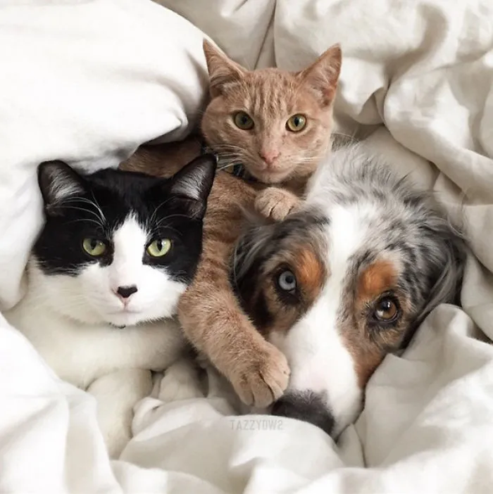 We Cuddle On Sundays Too
