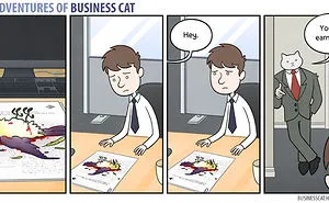 How Your Office Would Look If Your Boss Was A Cat