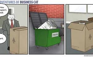 How Your Office Would Look If Your Boss Was A Cat
