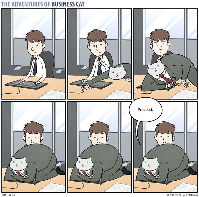 How Your Office Would Look If Your Boss Was A Cat