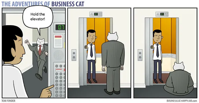 How Your Office Would Look If Your Boss Was A Cat