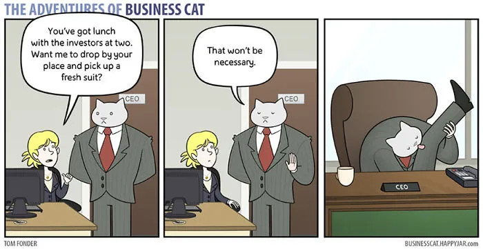 How Your Office Would Look If Your Boss Was A Cat
