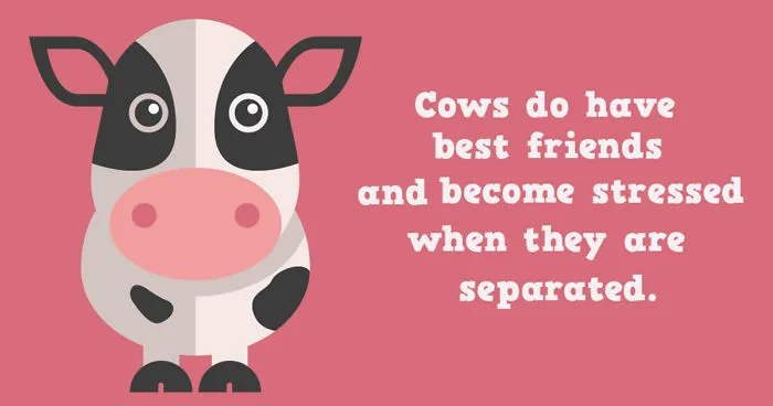 15 Amazing Facts You Didn't Know About Animals