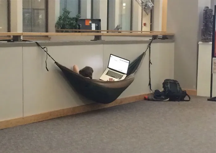 College In A Nutshell