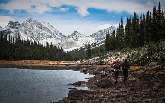 "Camping With Dogs" Instagram Will Inspire You To Go Hiking With Your Dog
