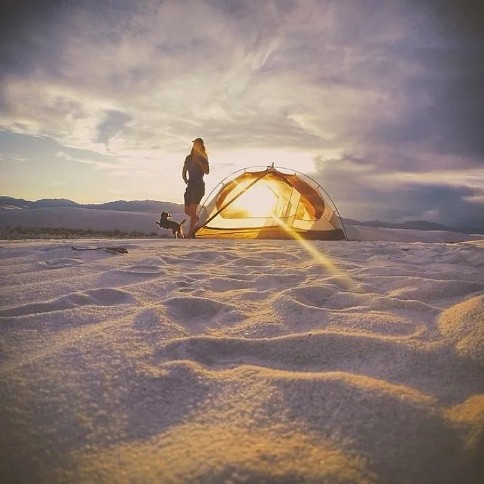 "Camping With Dogs" Instagram Will Inspire You To Go Hiking With Your Dog