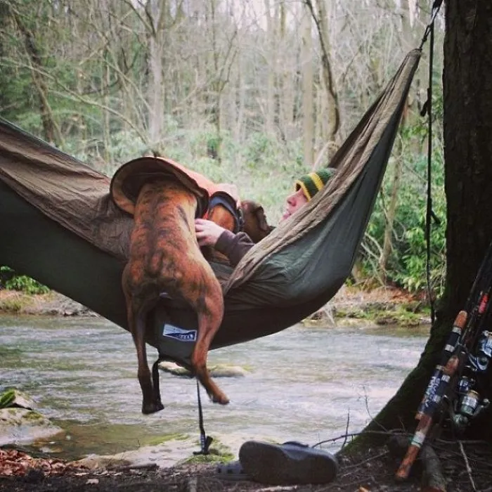 "Camping With Dogs" Instagram Will Inspire You To Go Hiking With Your Dog