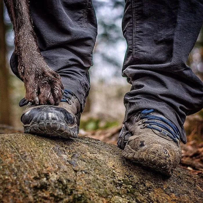 "Camping With Dogs" Instagram Will Inspire You To Go Hiking With Your Dog
